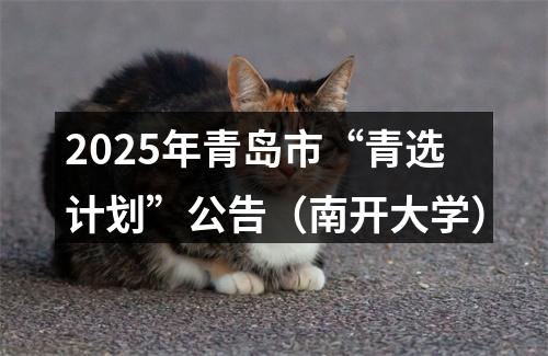 2025年青岛市“青选计划”公告（南开大学） 图片