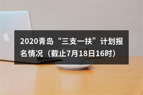 2020青岛“三支一扶”计划报名情况（截止7月18日16时） 图片
