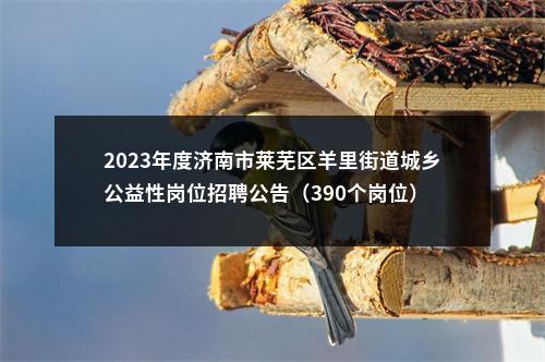 2023年度济南市莱芜区羊里街道城乡公益性岗位招聘公告（390个岗位） 图片