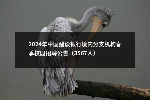 2024年中国建设银行境内分支机构春季校园招聘公告（3567人） 图片