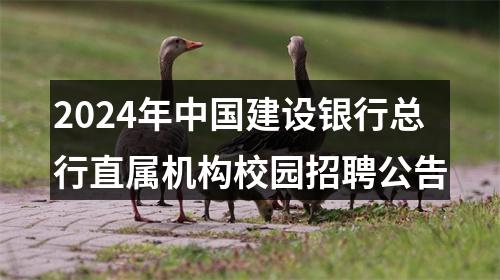 2024年中国建设银行总行直属机构校园招聘公告 图片
