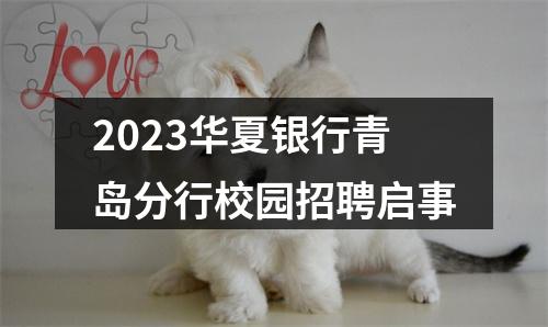 2023华夏银行青岛分行校园招聘启事 图片