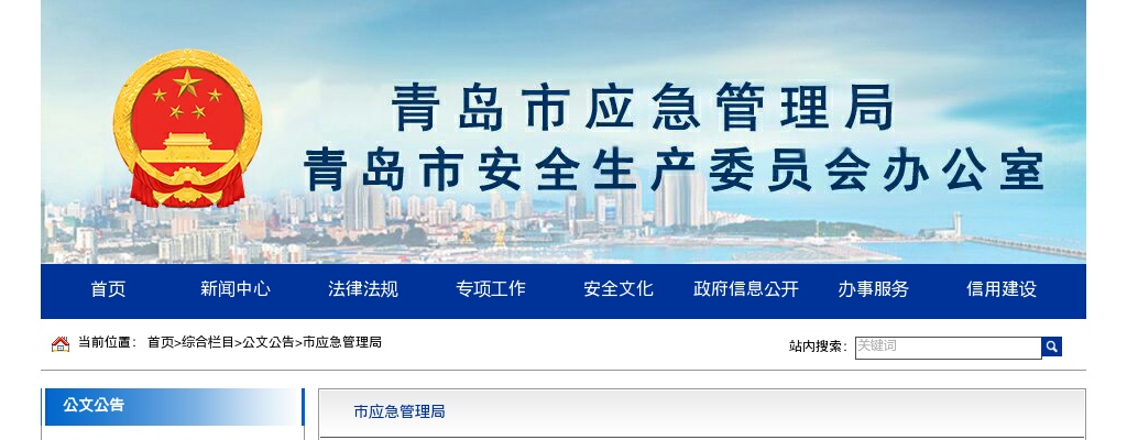 2024年青岛市应急管理局考试录用公务员面试资格复审有关事宜的公告 图片